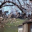 Sporting Hotel Ragno D'oro