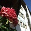 Hotel Alpensonne