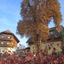 Hotel Zollner