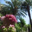 B&B I Limoni