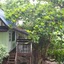 Nangyuan Island Dive Resort
