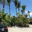 Palm Tree Villas