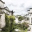 Banyan Tree Huangshan