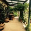 Clarevale Cottage B&B