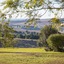 Hillview Cottages