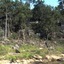 Murphy's Creek Hideaway