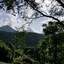A View Of Mt Warning B&B