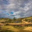 Botlierskop Bush Villas