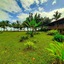 Hotel Tortuguero Beachfront