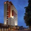 Ibis Imperatriz