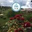Hotel Rural Da Ameira