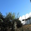 La Corte Dei Limoni