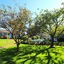 Brant Point Courtyard