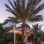 The Saint Hotel Key West, Autograph Collection, Adult Only