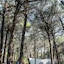 Danaide Resort