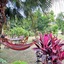 Eden Jungle Resort