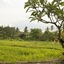 Mesari Hotel Ubud