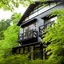 Forest Inn Born