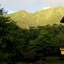 Peach Villa
