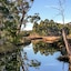 Saintys Creek Cottage