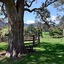 The Laurels B&B Kangaroo Valley