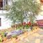 Shima Mediterranean Village
