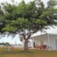 Koru Hostel