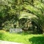 Villa Olive Apartments