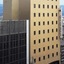 Hotel New Green
