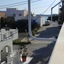 Vasilis Apartments