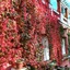 Hostal Montsoliu