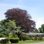 Castle Manor Inn