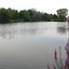 Walden On The Pond Hotel