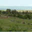 Parade Rest Ranch