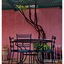 Riad Raouia