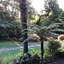 Rapaura Watergardens