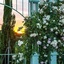 Relais Sassa Al Sole