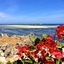 Mawe Resort Watamu Boutique Hotel