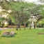 Thebe River Safaris