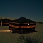 Golden Palm Oasis
