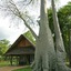 Eden Lodge
