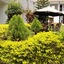 Wellsprings Hotel
