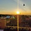 Pulickal Airport Hotel