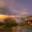 Serengeti Simba Lodge