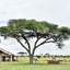 Pumzika Classic Safari Camp - East Africa Camps