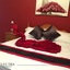 Electra Guesthouse