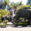 Karen Bomas Inn