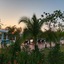 Mangrove River Resort