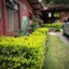 Greemount Hotel