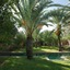 Dar Al Hossoun